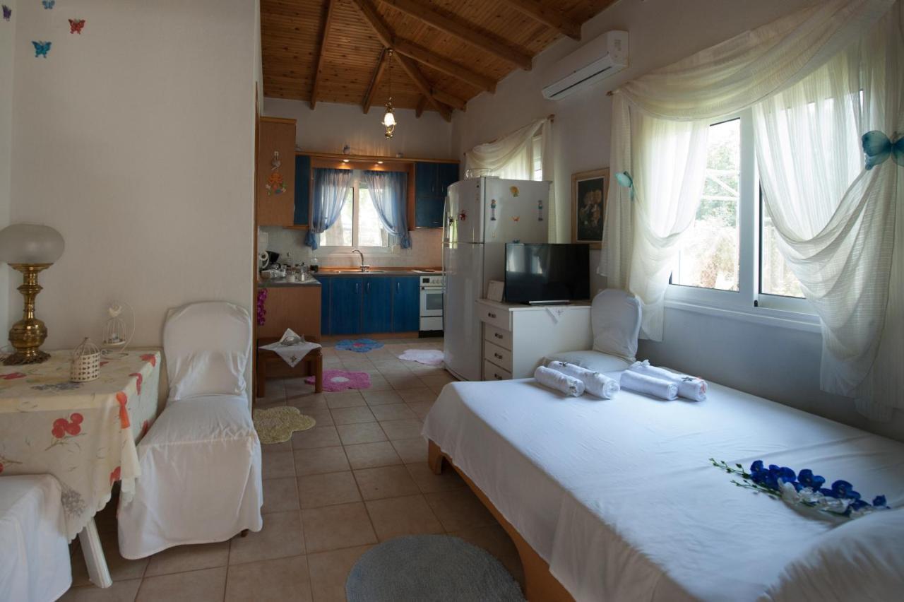 D&P House Villa Hriszí Amudiá Kültér fotó